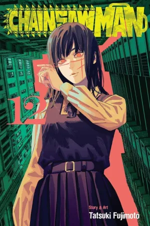 Chainsaw Man GN Vol 12