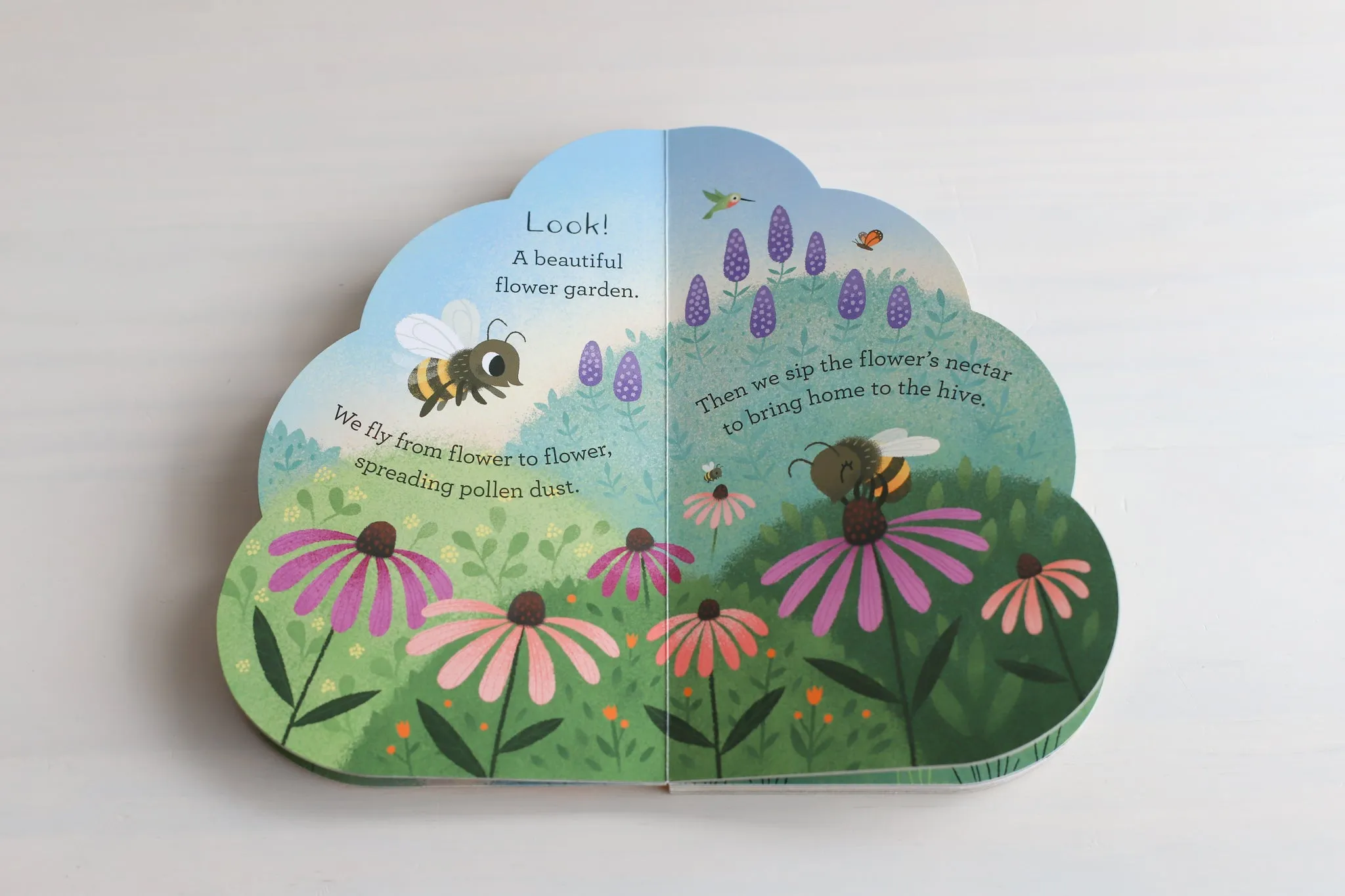 Hello Honeybees Board Book